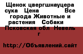 Щенок цвергшнауцера сука › Цена ­ 25 000 - Все города Животные и растения » Собаки   . Псковская обл.,Невель г.